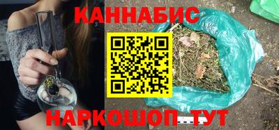 крисы Пенза