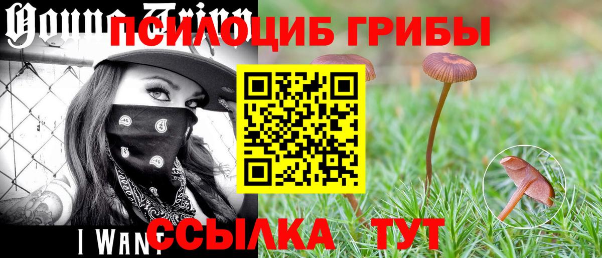 Псилоцибиновые грибы Magic Shrooms  Вход с VPN  Славянск-на-Кубани  Псилоцибиновые грибы Magic Shrooms 